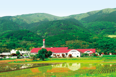 /酪農王国オラッチェ・とうもろこし畑の巨大迷路(静岡県/函南町)