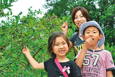 季節の農産物を収穫できる/埼玉県農林公園(埼玉県/深谷市)