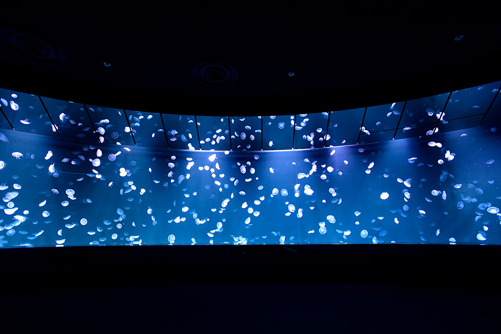 サンシャイン水族館の「サンシャインラグーン」(東京都/豊島区)
