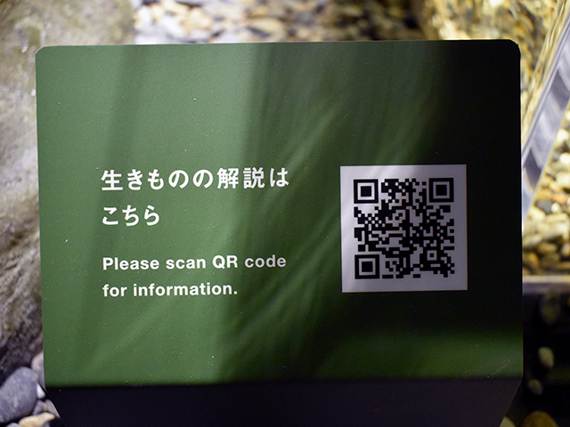 各水槽に設置されたQRコード/カワスイ 川崎水族館(神奈川県)