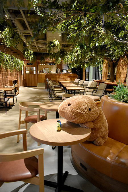 こもれびカフェ店内/カワスイ 川崎水族館(神奈川県)