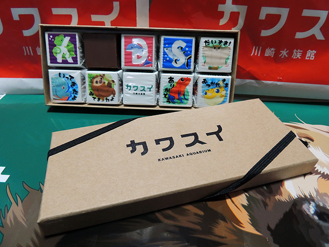 「DECOチョコ」/カワスイ 川崎水族館(神奈川県)