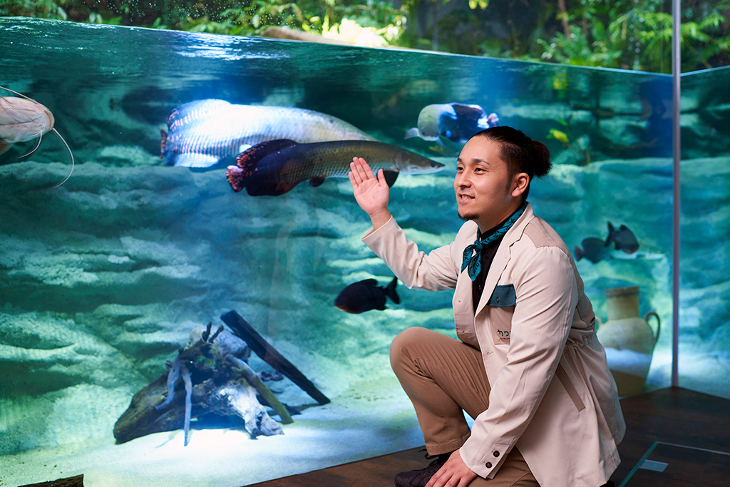 アマゾンゾーンの水槽/カワスイ 川崎水族館(神奈川県/川崎市)