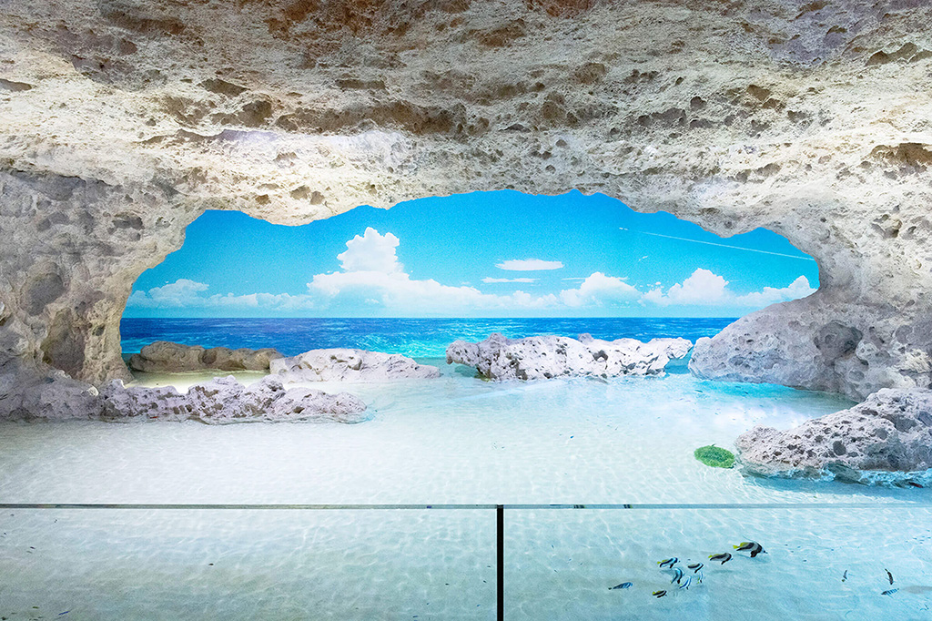 2階からの景色/DMMかりゆし水族館(沖縄県/豊見城市)