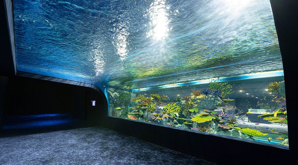サンゴ礁と熱帯魚が見られる水槽/DMMかりゆし水族館(沖縄県/豊見城市)