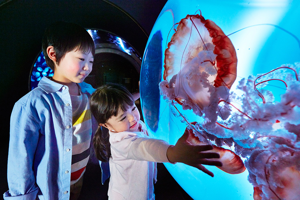 クラゲが飛び出すような「クラゲルーペ」/サンシャイン水族館(東京都/豊島区)