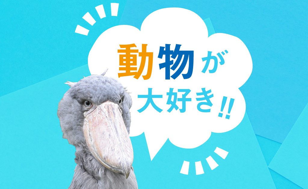 動物が大好き 希少な動物やふれあいが人気の動物にワクワク るるぶkids