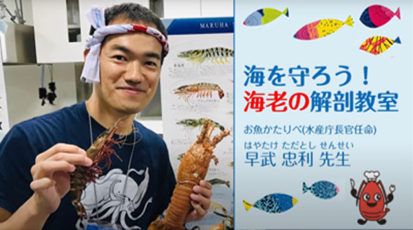 海を守ろう!海老の解剖教室 早武忠利先生