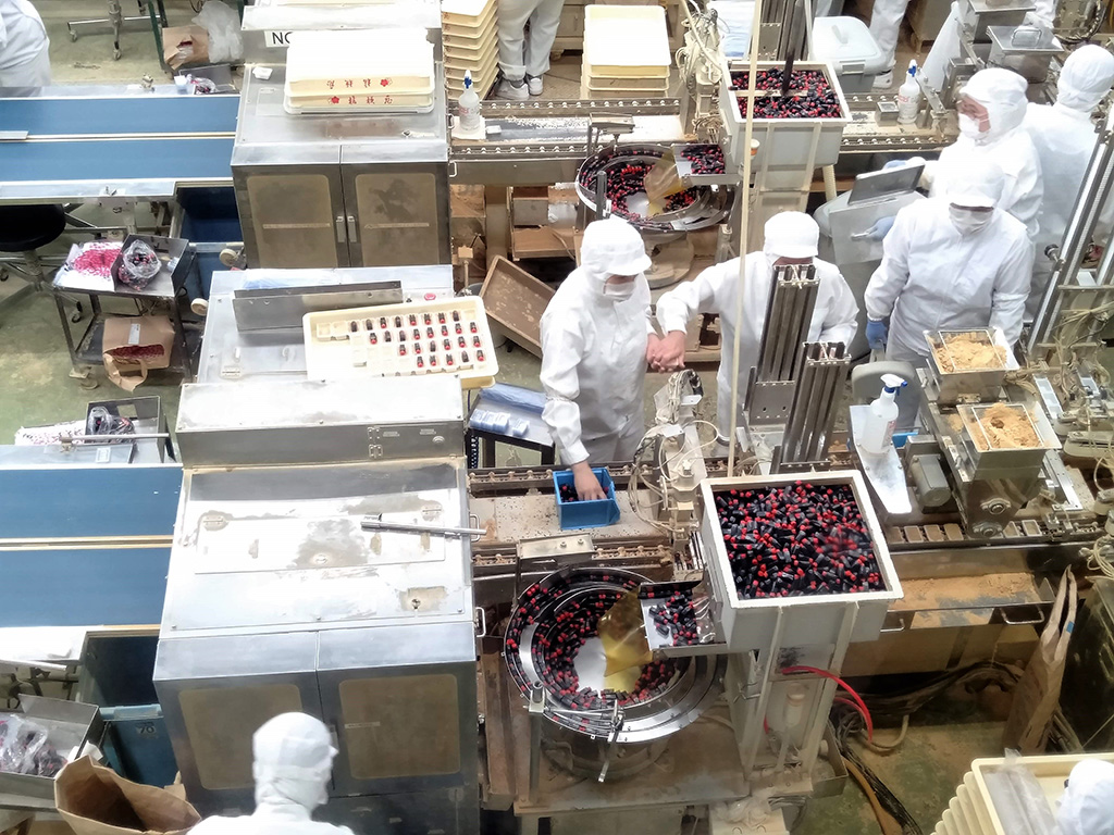 製造工程をガラス窓越しから見学/桔梗信玄餅工場テーマパーク(山梨県/笛吹市)