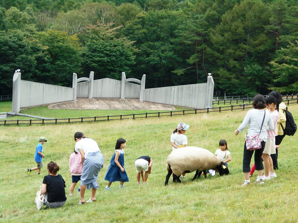 ヒツジとふれあう様子/山梨県立まきば公園(山梨県/北杜市)