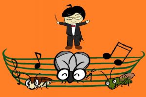 カブトムシ幼虫の育て方ガイド 水や温度 オスメス見分け方 マット交換の時期など るるぶkids