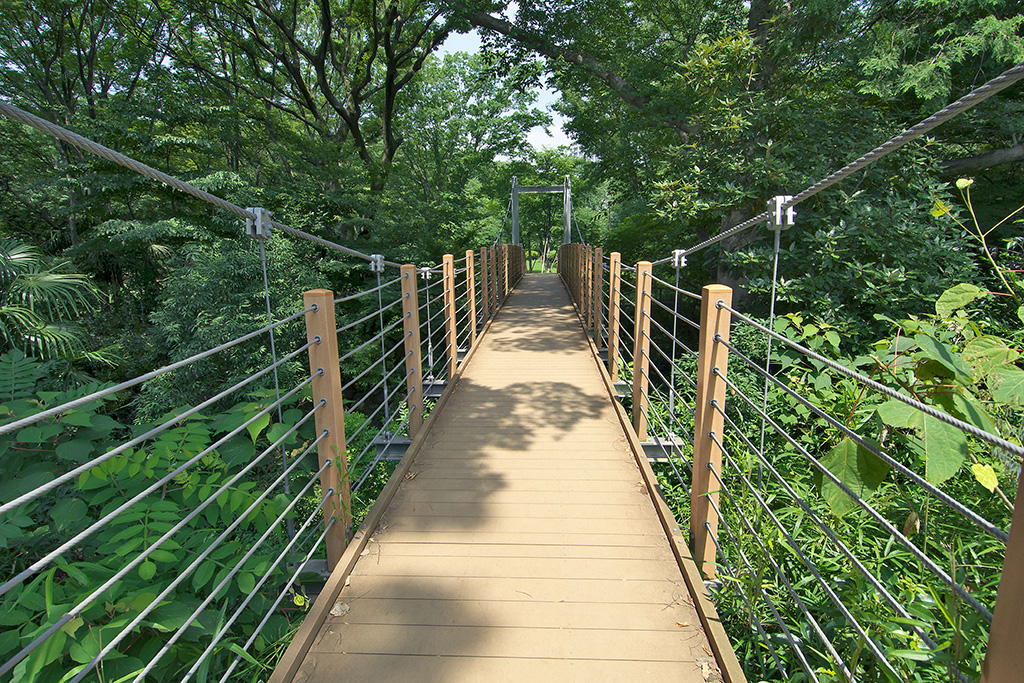 砧公園の吊り橋(東京都/世田谷区)