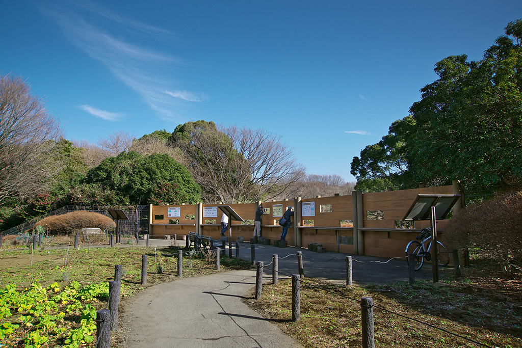 野鳥を観察できるバードサンクチュアリ/砧公園(東京都/世田谷区)