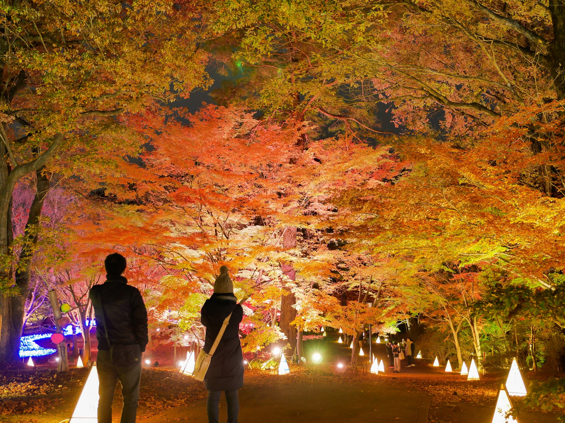 国営武蔵丘陵森林公園(埼玉県/滑川町)