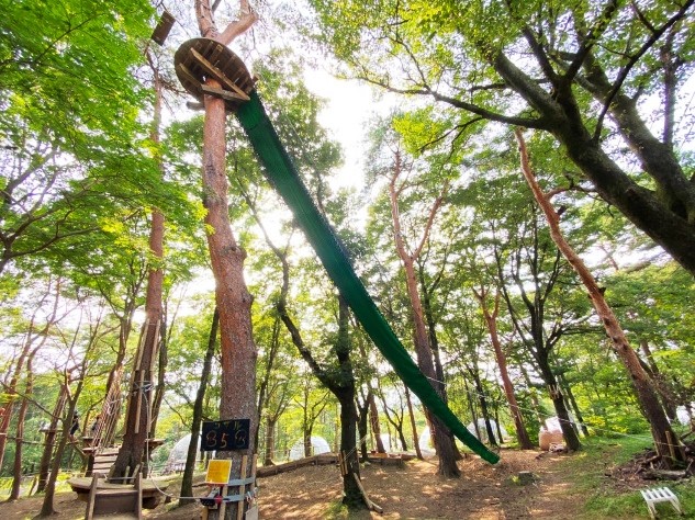 天然木使用の「空中スライダー」/NOZARU(栃木県/那須町)