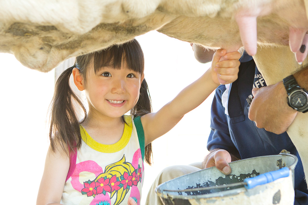 乳しぼり体験をする子ども/成田ゆめ牧場(千葉県/成田市