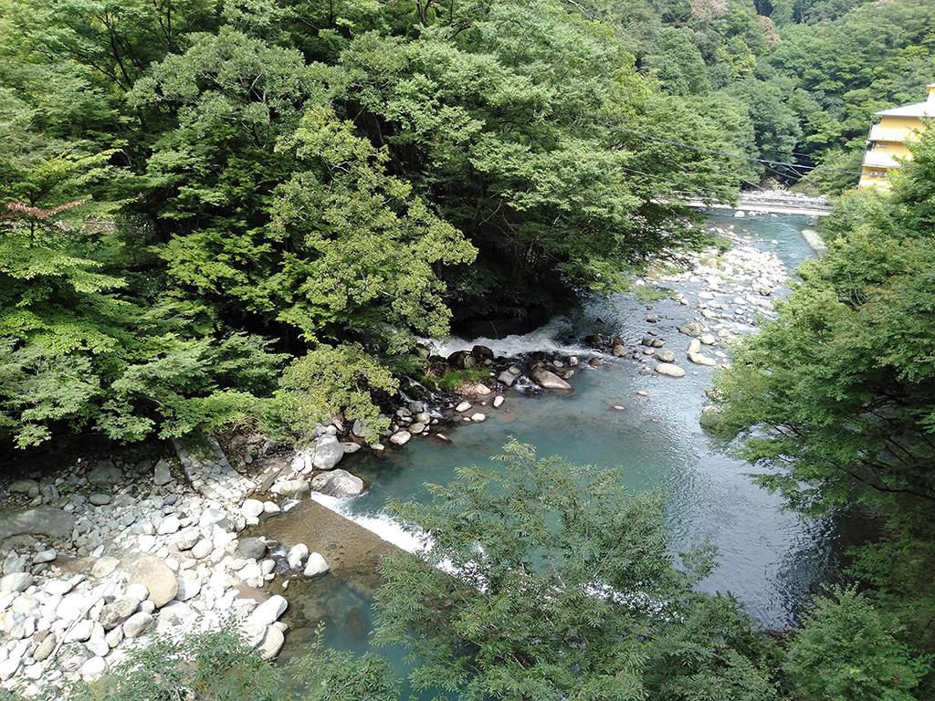客室からの景観/塔ノ沢 キャトルセゾン(神奈川県/箱根町)