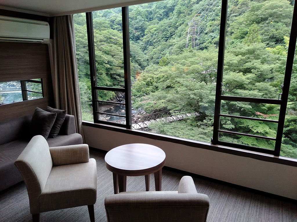客室からの景観/塔ノ沢 キャトルセゾン(神奈川県/箱根町)