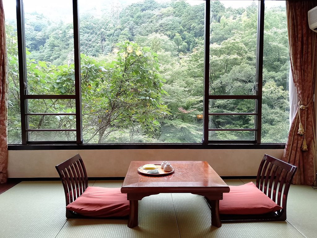 客室からの景観/塔ノ沢 キャトルセゾン(神奈川県/箱根町)