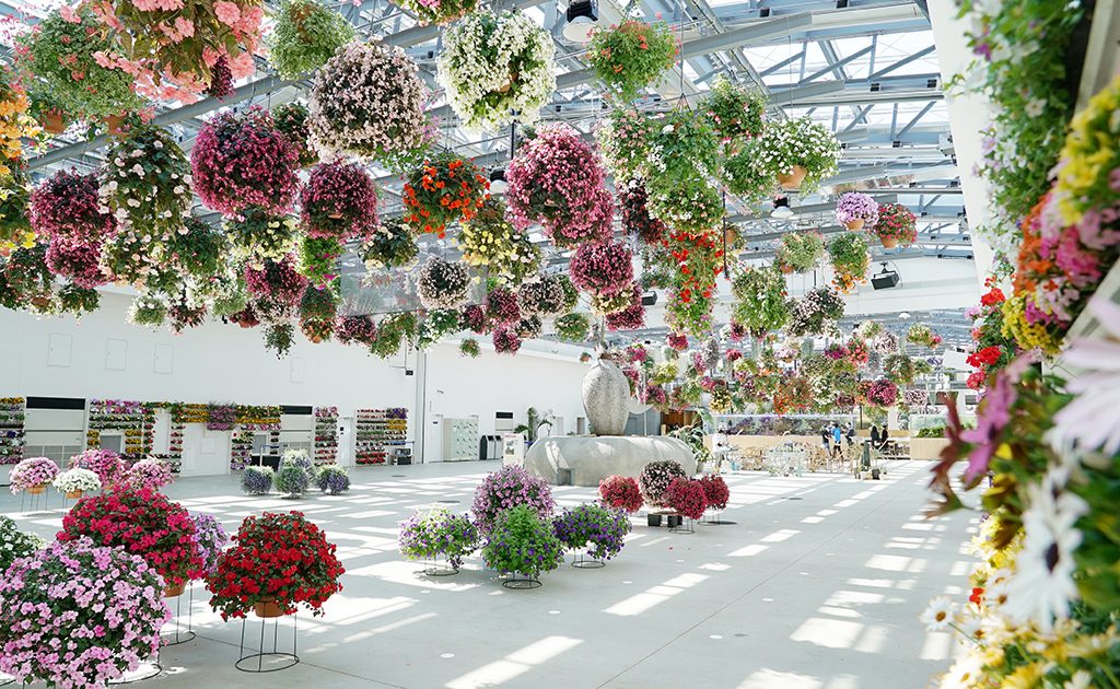 よみうりランド隣にあるhana Biyoriは新感覚のフラワーパーク コツメカワウソにも会える るるぶkids