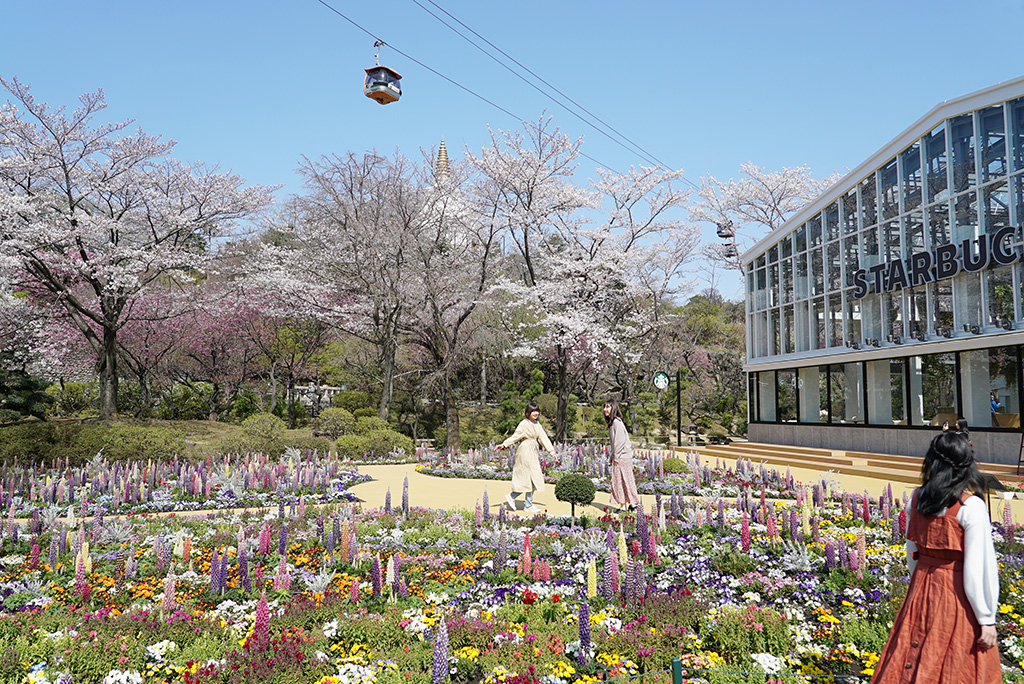 HANA・BIYORIの屋外(東京都/稲城市)