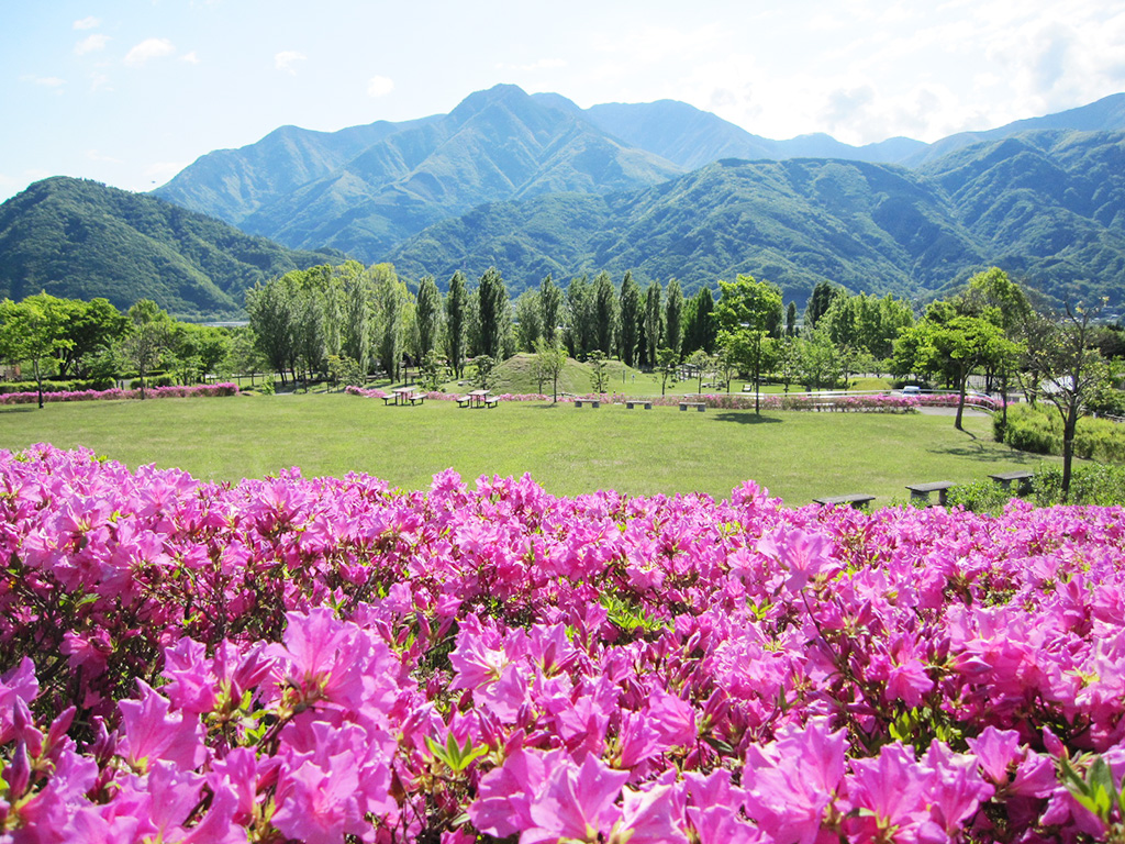 富士川クラフトパーク(山梨県/身延町)