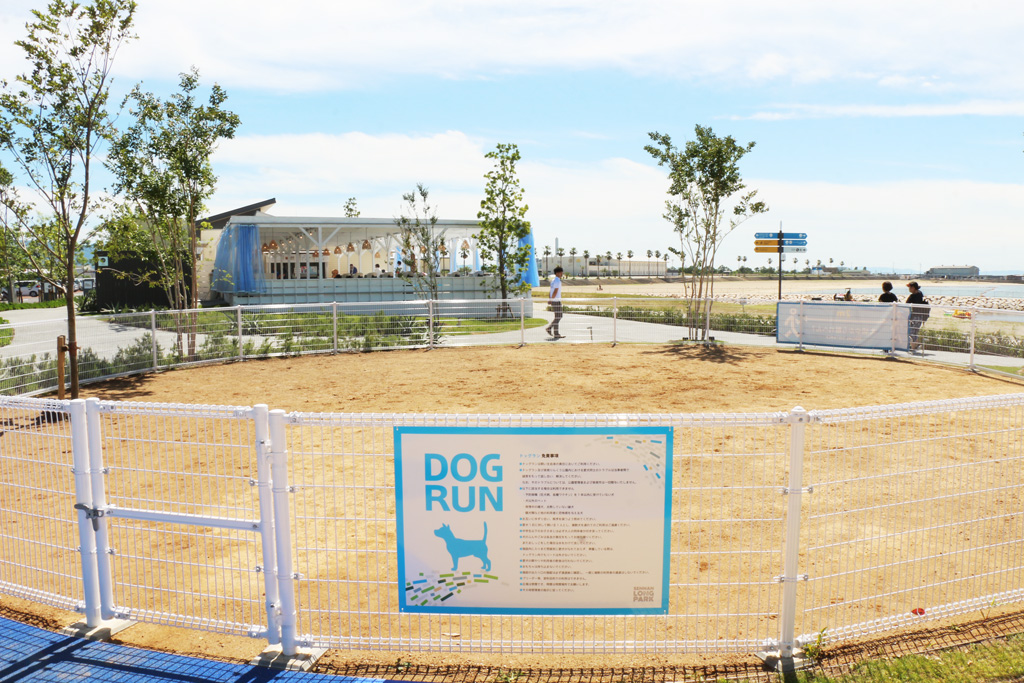 広々としたドッグラン/泉南りんくう公園(大阪府/泉南市)