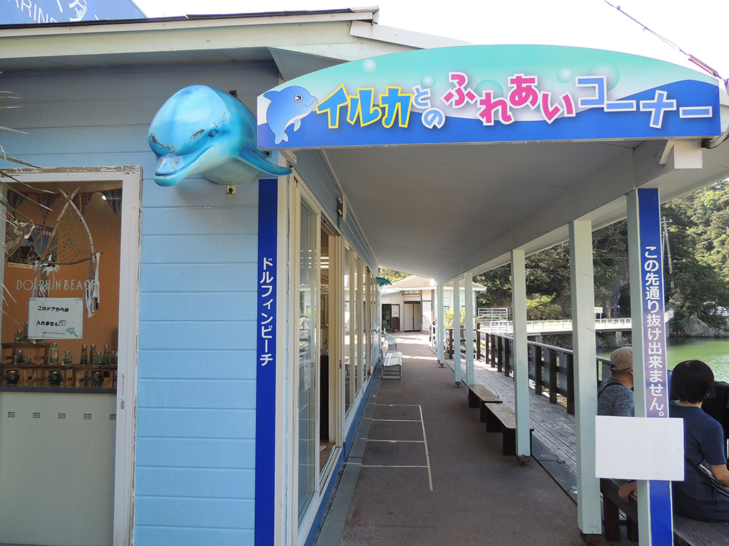 「イルカとのふれあいコーナー」/下田海中水族館(静岡県/下田市)