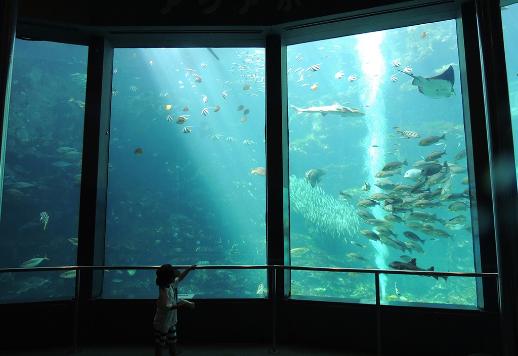 下田海中水族館の大水槽(静岡県/下田市)