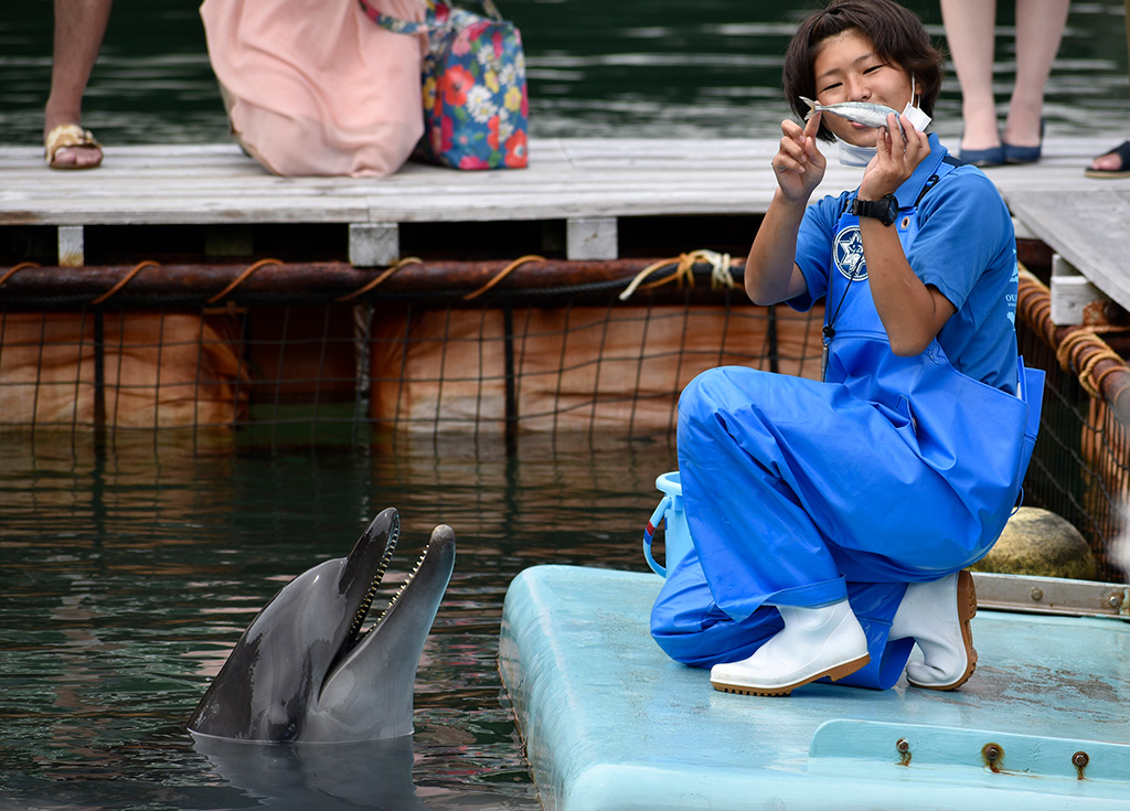 エサの解説をする飼育員さん/下田海中水族館(静岡県/下田市)