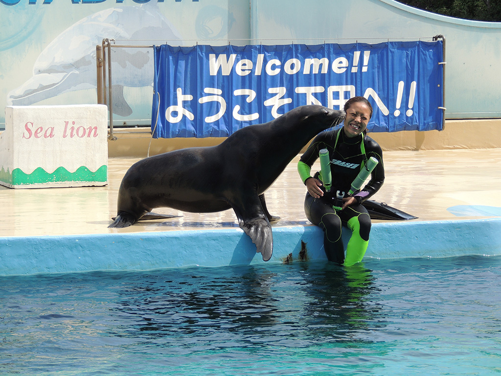 トレーナーさんにキスをするカリフォルニアアシカ/下田海中水族館(静岡県/下田市)