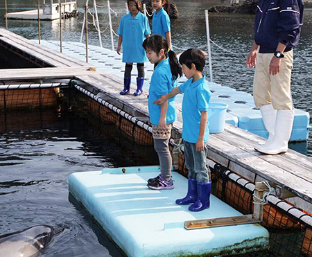 イルカへのサイン出しをする子ども達/下田海中水族館(静岡県/下田市)