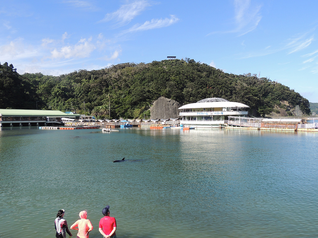 下田海中水族館の外観(静岡県/下田市)