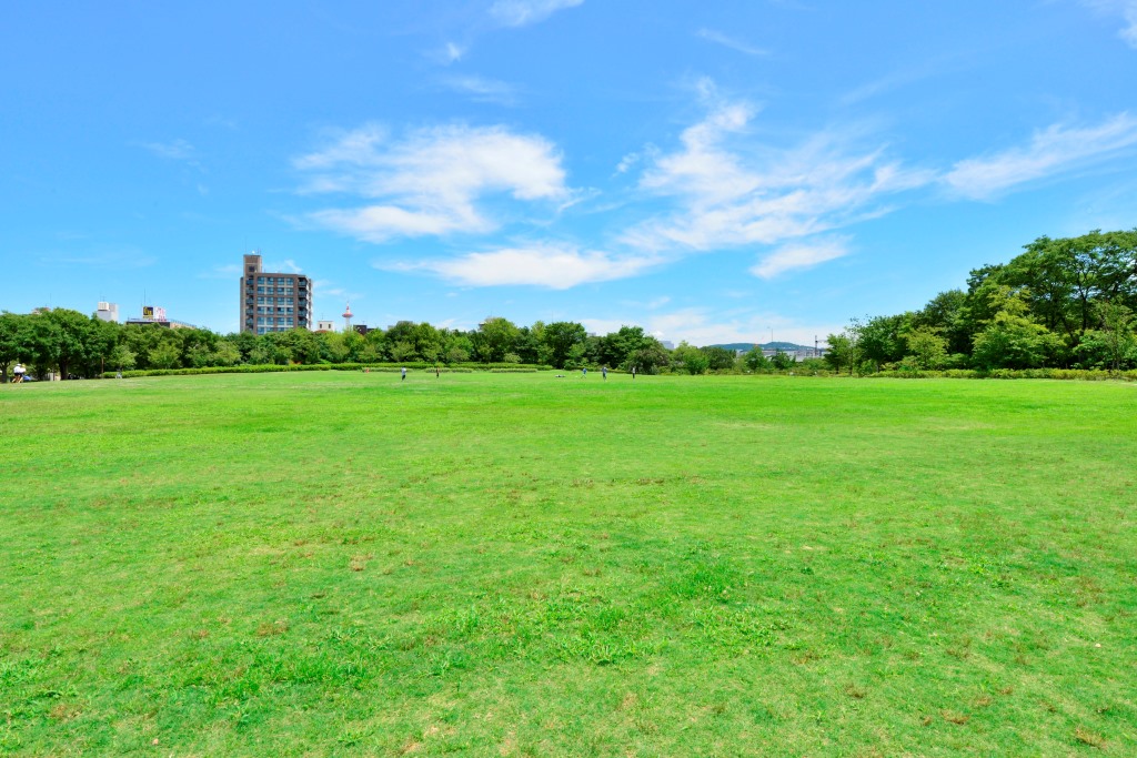 梅小路公園の芝生広場(京都府/京都市)