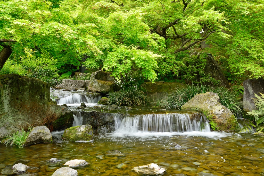 夏には水遊びができる/梅小路公園(京都府/京都市)