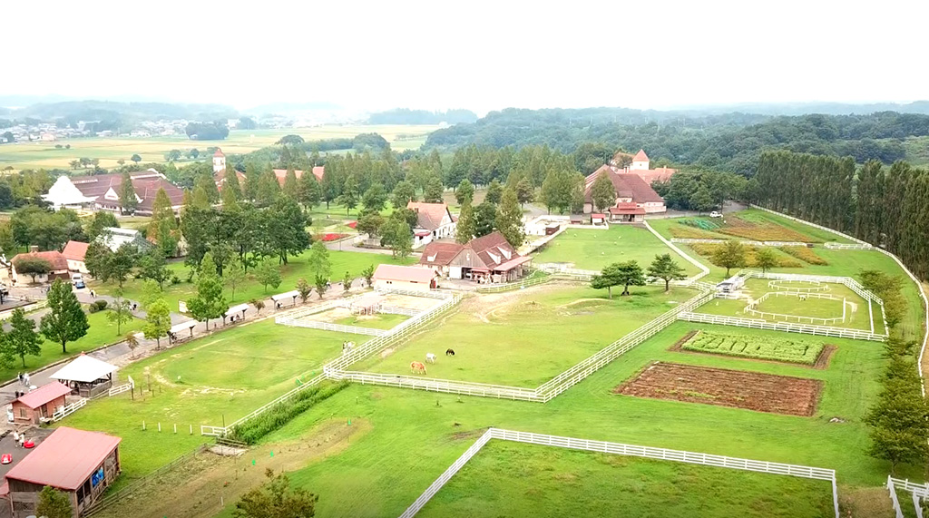ブルーメの丘 滋賀県蒲生郡 を紹介 アスレチックやシルバニアファミリーの施設など るるぶkids