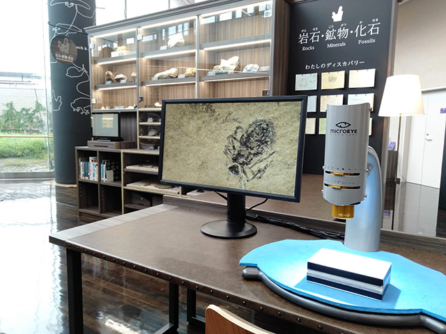 おとなのディスカバリー/滋賀県立琵琶湖博物館(滋賀県/草津市)
