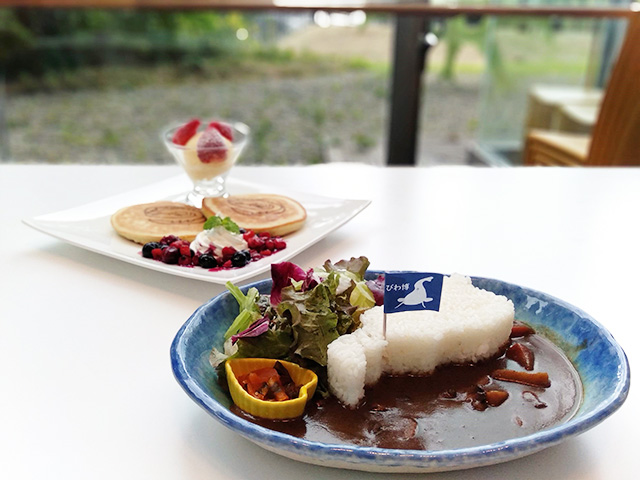 「びわ湖カレー」と「びわ湖の龍のパンケーキ」滋賀県立琵琶湖博物館(滋賀県/草津市)