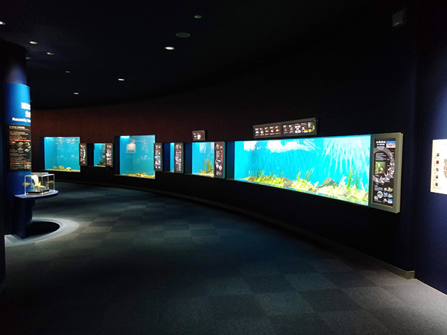 水族展示室/滋賀県立琵琶湖博物館(滋賀県/草津市)