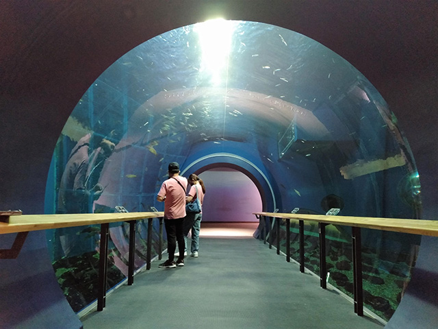 トンネル水槽/滋賀県立琵琶湖博物館(滋賀県/草津市)