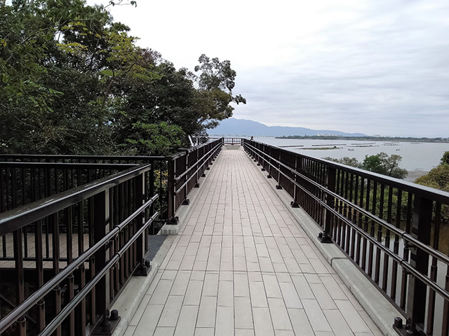 空中遊歩道/滋賀県立琵琶湖博物館(滋賀県/草津市)