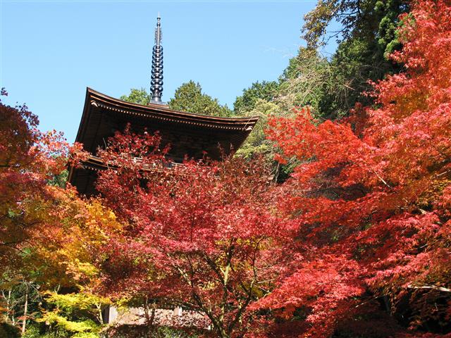 湖東三山(滋賀県/愛知郡愛荘町)