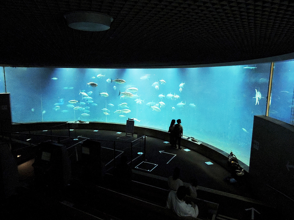 東京都葛西臨海水族園の「アクアシアター」(江戸川区)