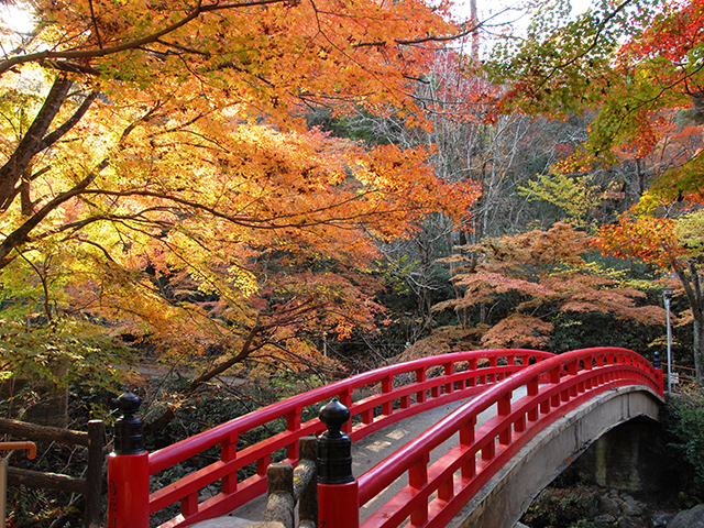 岩屋堂公園(愛知県/瀬戸市)