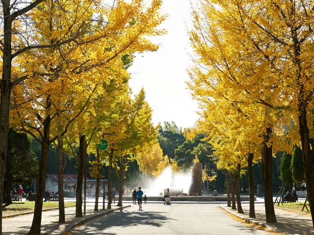 大阪城公園(大阪府/大阪市中央区)