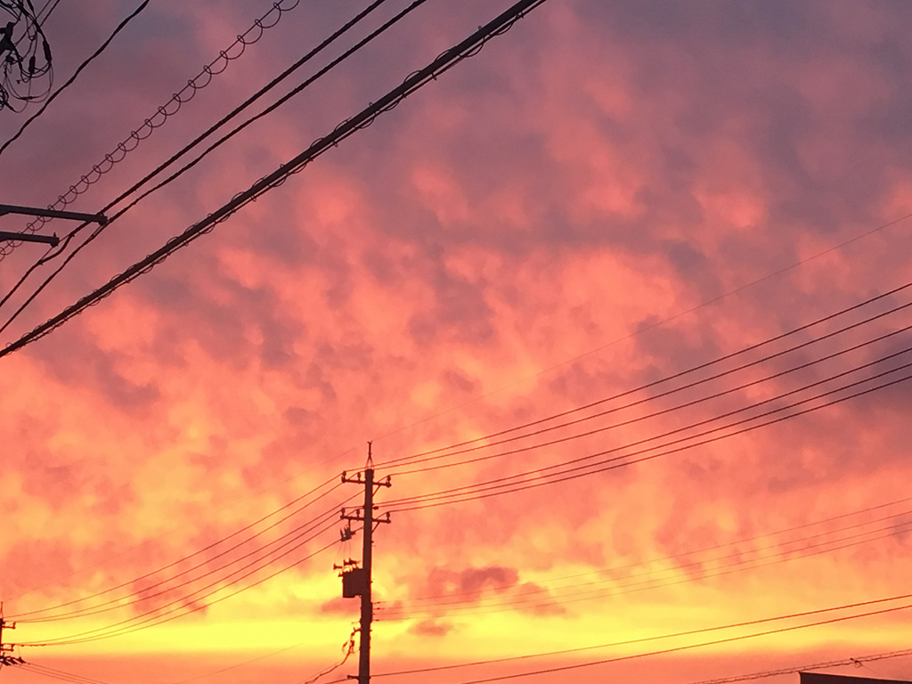 夕日