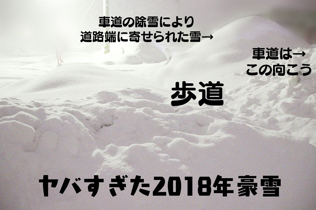 豪雪の様子