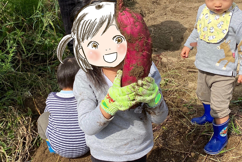芋掘りの様子