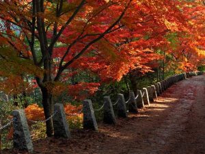 滋賀県 遊ぶ 体験する 子どもとおでかけ 旅行情報 記事一覧 るるぶkids