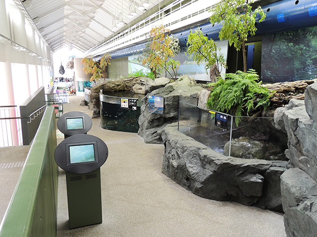 開放的なアトリウム空間/アクアワールド茨城県大洗水族館(大洗町)